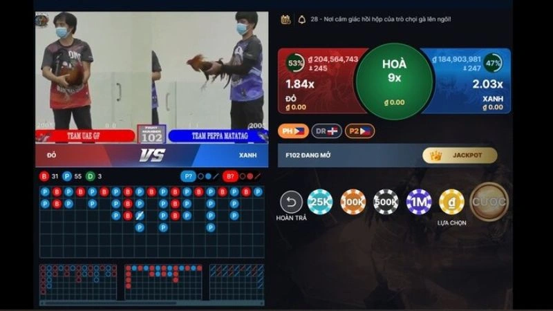 Sảnh đá gà Kimsa online thu hút người xem